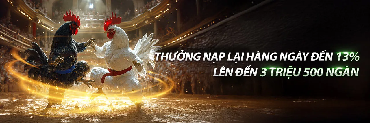 Đấu trường Đá Gà trực tuyến sôi động tại tilekeo88